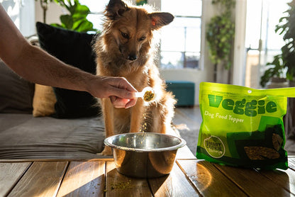 Veggie and Superfood Dog Food Topper Variety Pack