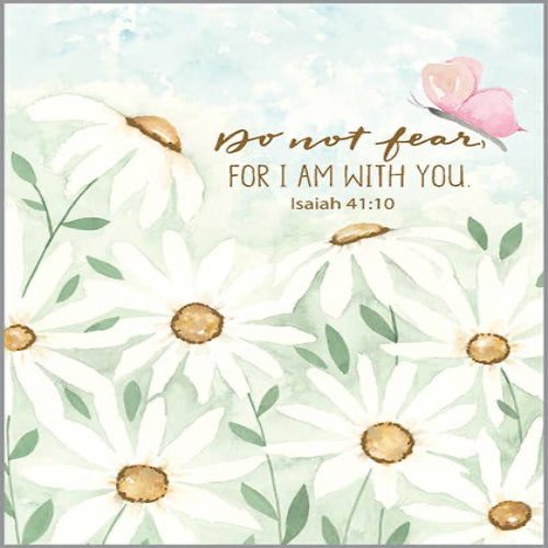 GINA B DESIGNS With Scripture Friend Greeting Card - Daisy Field